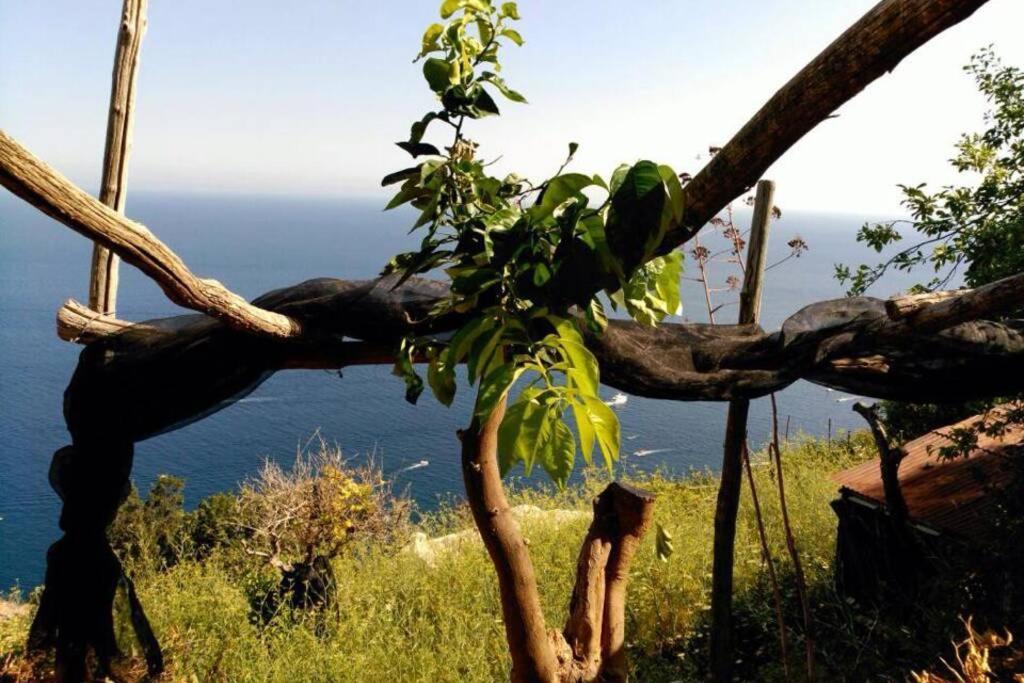 Casa Marilo - A Beautiful House Overlooking Amalfi Exteriör bild